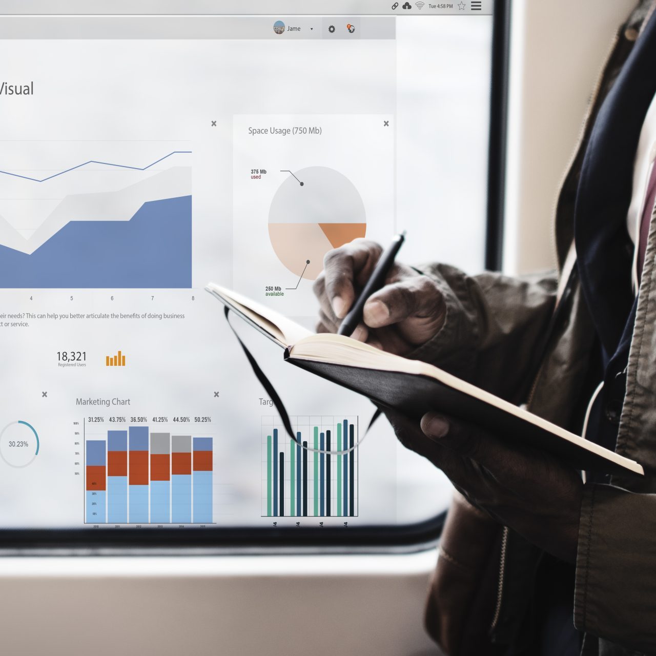 Business Chart Visual Graphics Report Concept